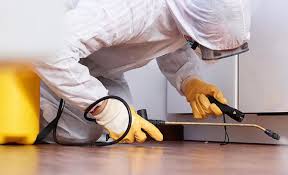 Best Pest Control for Multi-Family Homes  in Johns Creek, GA